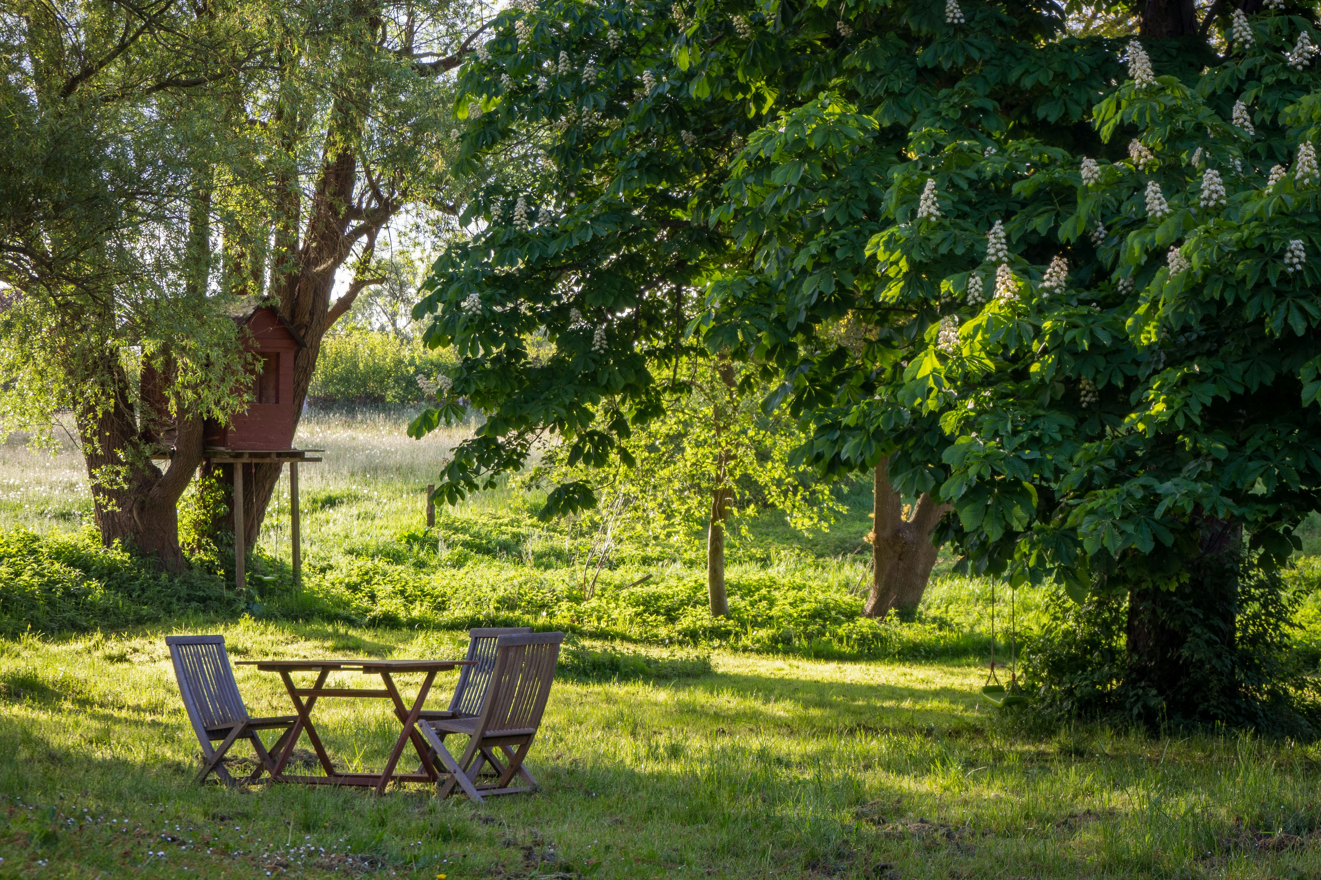 A green garden with outdoor seating